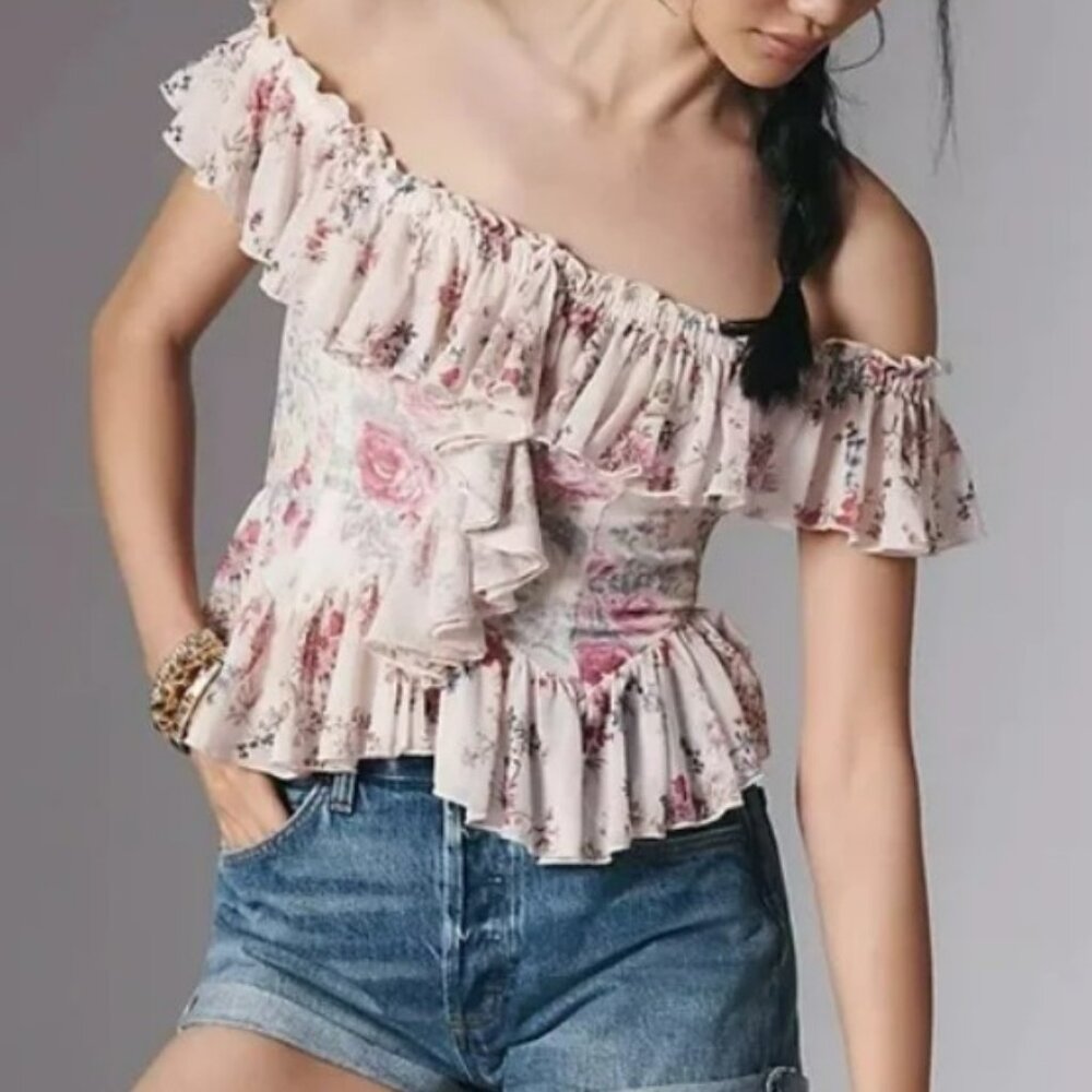 NWT Anthropologie | Off-The-Shoulder Mesh Floral Top | M